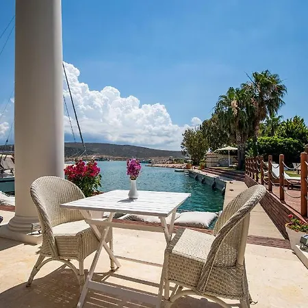 Port 3* 알라카티