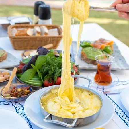 Port 호텔 알라카티