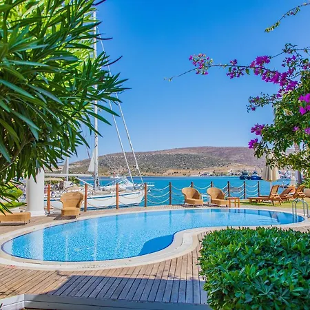 Port Hotel 3*